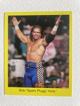 1997 WWF Cardinal Trivia Game Card Bob Spark Plugg Holly WWE Superstar - £1.33 GBP