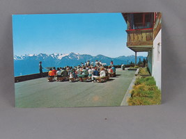 Vintage Postcard - Naturalist Program Hurricane Ridge - National Park Commission - £11.71 GBP