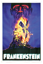Boris Karloff Frankenstein Post-a-Cling Vintage Horror Movie Poster Spooky Scene - £19.77 GBP