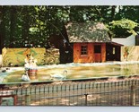 Jolly Miller Pond Deer Forest Animal Farm Coloma MI UNP Chrome Postcard N15 - $4.90