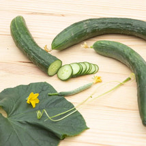 Fresh 25 Seeds Arola Cucumbers Planting Edible Food Easy To Grow Gardeni... - £6.40 GBP