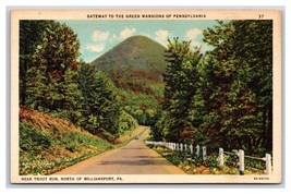 Gateway to Green Mansions Williamsport Pennsylvania PA UNP Linen Postcard Y10 - $2.92