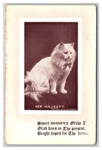 Adorable White Fluffy Cat With Bow Her Majesty 1910 DB Postcard Q19 - $7.08