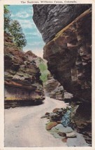 The Narrows Williams Canon Horse Trail Rocky Mountain Colorado CO Postcard D60 - $2.99