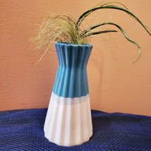 Blue and White Ceramic Vase with Air Plants, Air Plant Gift, Mothers Day image 4