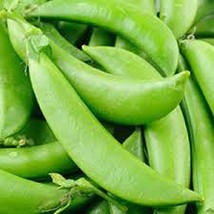 Peas, Sugar Snap Pea Seed, Organic, NON- GMO, 20 seeds per package,?Green peas a - £2.39 GBP