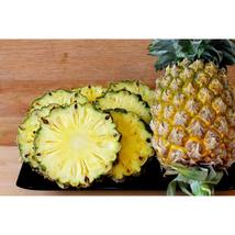 15+ Valera Pineapple Seeds | Tropical Exotic Fruit for Home Garden - $16.50
