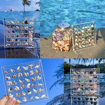 GKBYN Acrylic Shell Storage Box Display Cabinet Transparent Small - $49.51 MXN GKBYN Acrylic Shell Storage Box Display Cabinet Transparent Small - $49.51 MXN