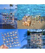 GKBYN Acrylic Shell Storage Box Display Cabinet Transparent Small - €2,31 EUR