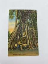 Vintage Postcard Banyan Tree St. Petersburg Florida Linen Posted 1952 - £5.45 GBP