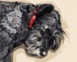 Pepita Needlepoint kit: Dog at Rest, 12&quot; x 9&quot; - £61.68 GBP+