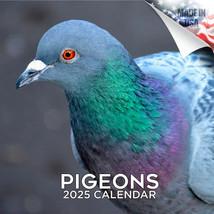 PIGEONS Wall Calendar 2025 Columba Animal Bird PET Lover Gift - £19.00 GBP