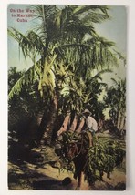 Postcard Cuba On The Way To Market Man Riding Donkey Divided Back - $12.00
