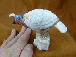(Y-BIR-QU-49) Quail tan blue white bird gemstone STONE figurine Peru quails - $765.07 MXN