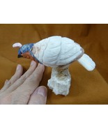 (Y-BIR-QU-49) Quail tan blue white bird gemstone STONE figurine Peru quails - $765.07 MXN