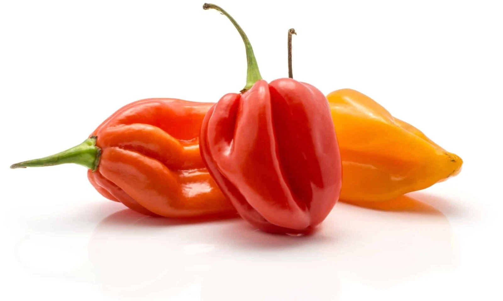 Exotic 30  Organic Habanero Hot pepper Seeds Hottest Pepper Heirloom Fre... - $3.65