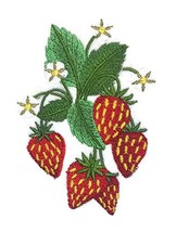 Nature Weaved in Threads, Amazing Fruits[Strawberry] [Custom and Unique] Embroid - $16.73