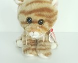Ty Beanie Babies Cleo The Orange Tabby Cat Cat 6&quot; Plush Stuffed Bent Han... - £23.54 GBP