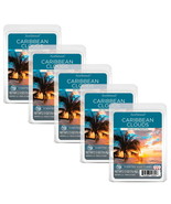 Caribbean Clouds Scented Wax Melts, Scentsationals, 2.5oz | 5 PACK - $34.17 CAD
