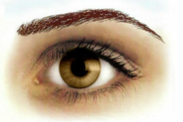 Eyebrows Dark Auburn High Arch Tattoos - $4.42