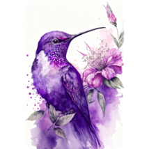 Hummingbird Flowers Diamond Art Painting Kits for Adults-DP017 - $289.02 MXN+