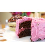 EASY BAKE OVEN 4 CAKE MIX RECIPES  - $2.49