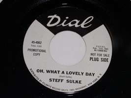 Steff Sulke Oh What A Lovely Day Broken Dreams 45 Rpm Record Dial 4062 Promo NM - $29.99