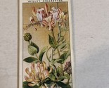 Honeysuckle WD &amp; HO Wills Vintage Cigarette Card #16 - $2.96