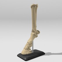 Item image 14