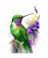 Hummingbird Flowers Diamond Art Painting Kits for Adults-DP016 - $289.02 MXN+