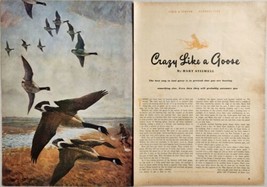 1949 Magazine Picture Flock of Geese &amp; Hunter Illustrated by W. Goadry Lawrence - £13.87 GBP