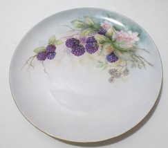 LG Antique 12&quot; hand painted porcelain Bavarian Cabinet Plate Berries Signed - £23.77 GBP