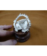 (crab-10) rock reef shore Crab of shed ANTLER figurine Bali detailed crabs - £7,001.70 GBP