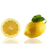 5 Femminello St. Teresa Lemon Seeds Planting Fresh Seeds - $128.59 MXN