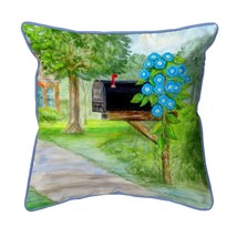 Betsy Drake Glorious Morning Extra Large Zippered Pillow 22x22 - $61.88