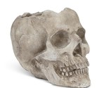 Large Skull Planter Cement 5&quot; high Gray Spooky Textured Detail - $35.63