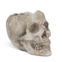 Large Skull Planter Cement 5" high Gray Spooky Textured Detail