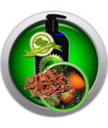 Body Massage Oil *PASSAGE OF INDIA* - $14.99+