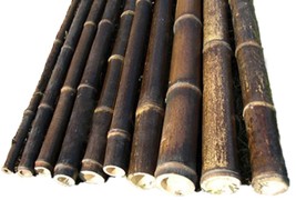 LARGE BLACK BAMBOO POLES-6&#39; Long-Choose from 3 Diameters- 6 Pack or 12 Pack - $115.00+
