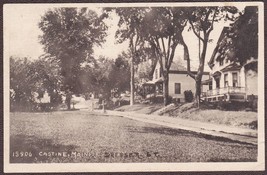 Castine, Maine Pre-1920 Antique Postcard - Dresser Street Scene #13906 - $12.25