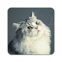 2 PCS Persian Cat Coasters - £13.59 GBP