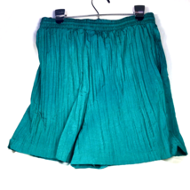 Large L Athletic Shorts Shiny Teal Pockets Crinkle Nylon Vintage 90s THE... - $19.00