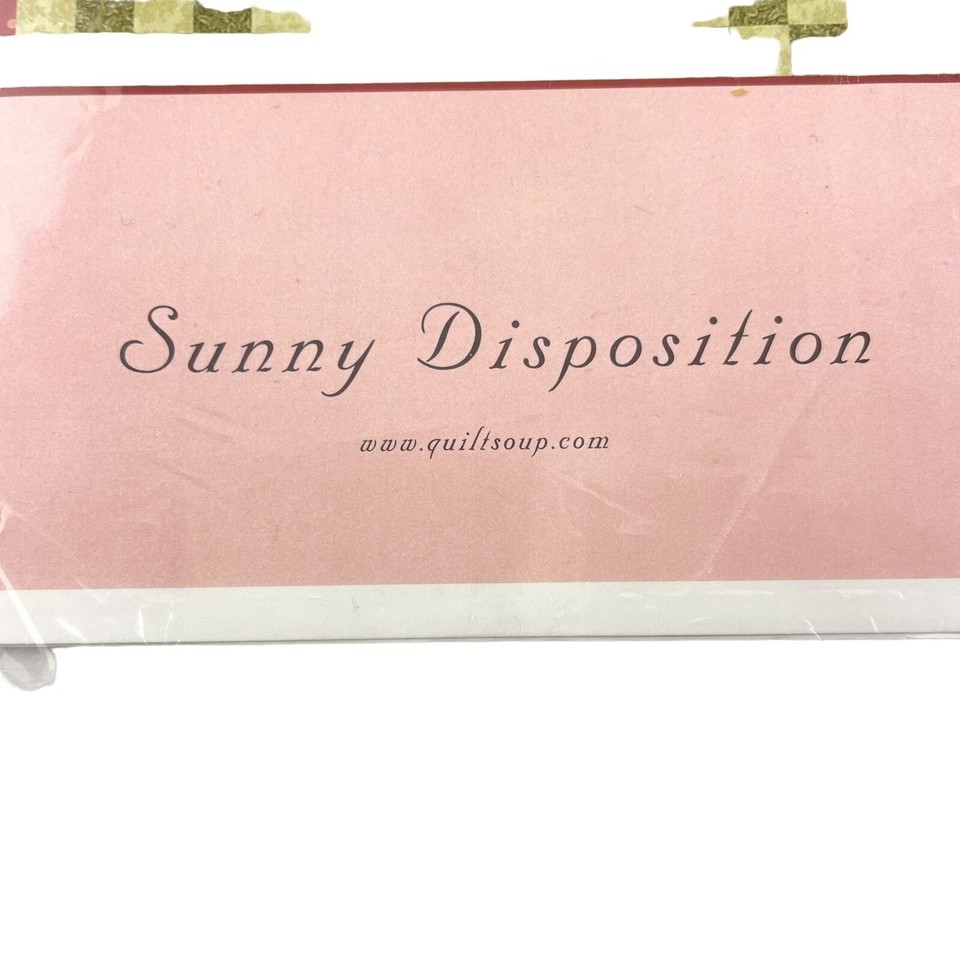 Quilt Soup PATTERN Sunny Disposition Applique and Piecing 56" x 56" Item image 6