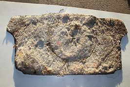 2000-2002 TOYOTA CELICA GT GT-S REAR TRUNK FLOOR LINING CARPET 2513 image 8
