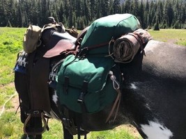 Rocking Seneca All-In One Saddle Pack  - Fits perfectly behind your sadd... - £232.54 GBP