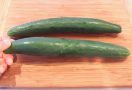 ENIL 25 Seeds Tasty Jade Cucumber Hybrid Easy Grow Planting Vegetable Ga... - £3.30 GBP