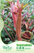 Fresh New Red Okra Organic 12 Pack Abelmoschus Esculentus Ladies Fingers - £19.13 GBP