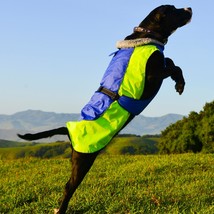 Alpine All-Weather Dog Coat - Blue and Green - £63.00 GBP