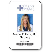 Arizona Robbins Name Badge Halloween Costume Greys Anatomy Tv Series Magnetic - £13.18 GBP