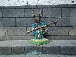 mordheim hired swords warlock warhammer fantasy metal painted - $30.30